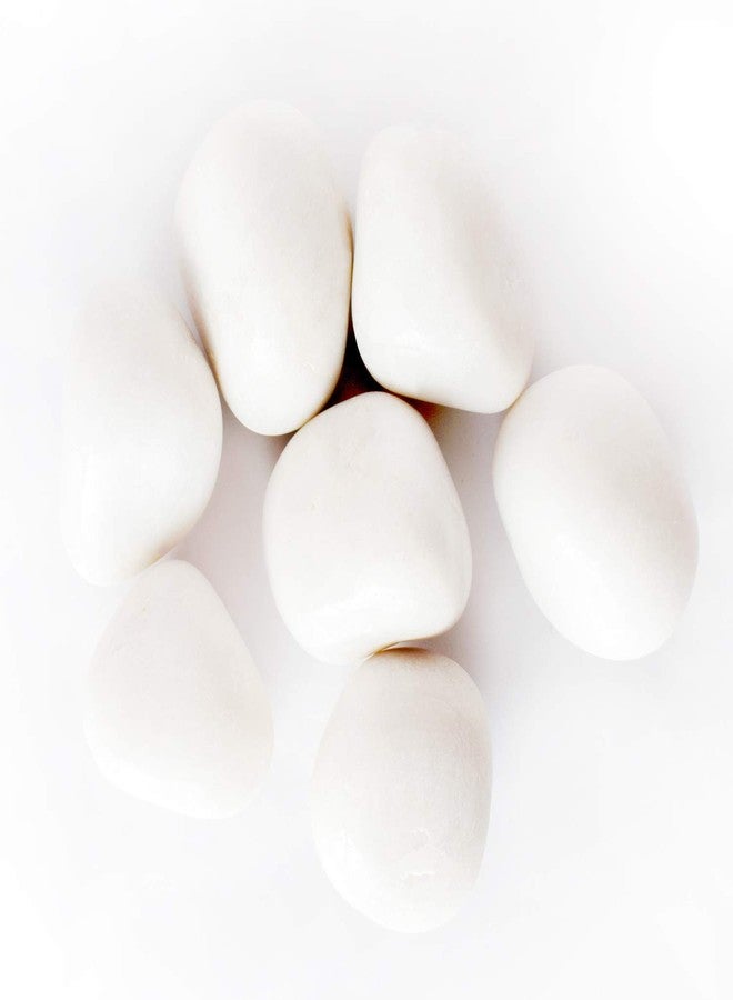 Ercole® Decorative Coloured Large Size Marble Stone Pebbles for Vase Filler Plant Pots Home Aquarium Fish Tanks Landscape Outdoor Garden Decoration (White, 1Kg) - Image 2